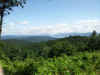 2011-07-09 11.19.12.jpg (3476907 bytes)