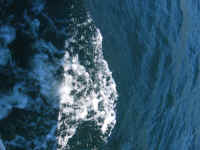 IMG_0348.JPG (1187354 bytes)