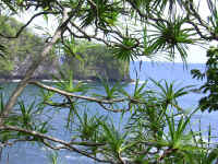 IMG_0299_640edit.jpg (389262 bytes)