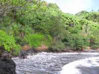IMG_0302_640edit.jpg (358443 bytes)