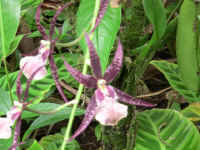 IMG_0319_640edit.jpg (301880 bytes)