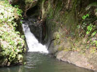 IMG_0322_640edit.jpg (360874 bytes)