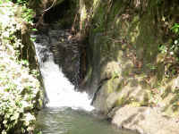 IMG_0323_640edit.jpg (349704 bytes)