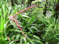 IMG_0329_640edit.jpg (386081 bytes)