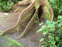 IMG_0351_640edit.jpg (383764 bytes)