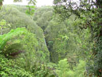 IMG_0359_640edit.jpg (374670 bytes)