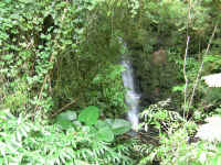 IMG_0365_640edit.jpg (396861 bytes)