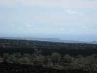IMG_1032_640edit.jpg (196004 bytes)