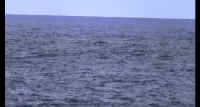 NDVD_004_640edit.jpg (154920 bytes)